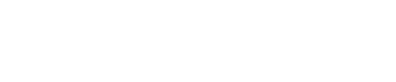 logo anywaves