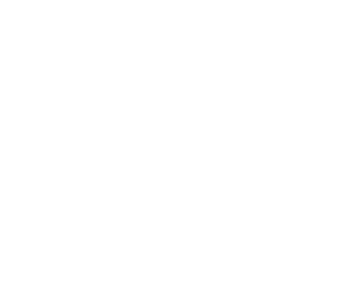 logo cnes