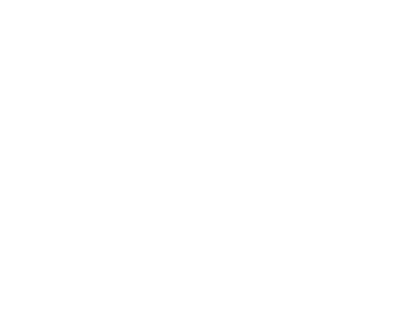 logo emeria